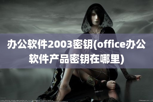 办公软件2003密钥(office办公软件产品密钥在哪里)