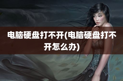 电脑硬盘打不开(电脑硬盘打不开怎么办)