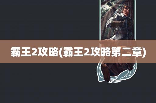 霸王2攻略(霸王2攻略第二章)