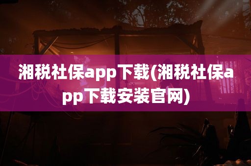 湘税社保app下载(湘税社保app下载安装官网)