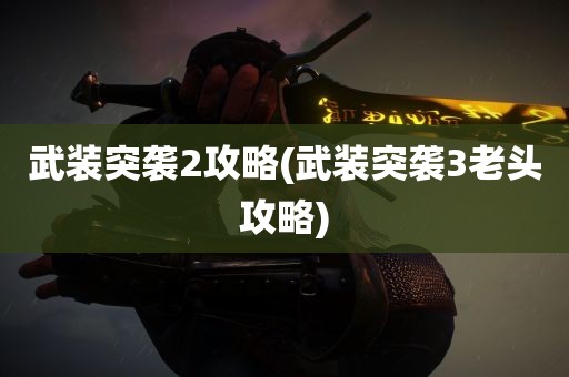 武装突袭2攻略(武装突袭3老头攻略)