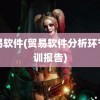 贸易软件(贸易软件分析环节实训报告)