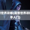 魔兽世界攻略(魔兽世界攻略新手入门)