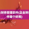 企业财务管理软件(企业财务软件哪个好用)