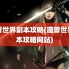 魔兽世界副本攻略(魔兽世界副本攻略网站)