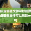 电脑c盘哪些文件可以删除(电脑c盘哪些文件可以删除win10)