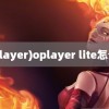 (oplayer)oplayer lite怎么用