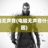 电脑无声音(电脑无声音什么原因)