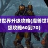 魔兽世界升级攻略(魔兽世界升级攻略60到70)