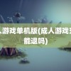 成人游戏单机版(成人游戏充值能退吗)