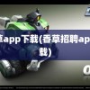 香草app下载(香草招聘app下载)