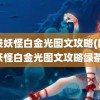 口袋妖怪白金光图文攻略(口袋妖怪白金光图文攻略绿茶)