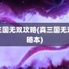 真三国无双攻略(真三国无双攻略本)