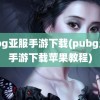 pubg亚服手游下载(pubg亚服手游下载苹果教程)