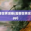 魔兽世界攻略(魔兽世界攻略app)