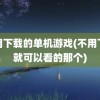 不用下载的单机游戏(不用下载就可以看的那个)