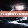 霸王2攻略(霸王2攻略视频)