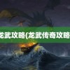 龙武攻略(龙武传奇攻略)