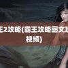 霸王2攻略(霸王攻略图文攻略视频)