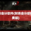 财务会计软件(财务会计软件免费版)