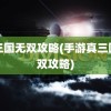 真三国无双攻略(手游真三国无双攻略)