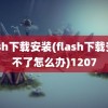 flash下载安装(flash下载安装不了怎么办)1207