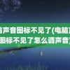 电脑声音图标不见了(电脑声音图标不见了怎么调声音)