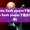 adobe flash player下载(adobe flash player下载后怎么用)