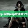 erp 软件(erp软件哪个好)