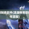 浪潮财务软件(浪潮财务软件操作流程)