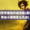 魔兽世界宠物升级攻略(魔兽世界战斗宠物怎么升级)