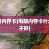 电脑内存卡(电脑内存卡什么牌子好)