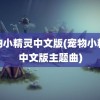 宠物小精灵中文版(宠物小精灵中文版主题曲)