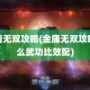 金庸无双攻略(金庸无双攻略什么武功比效配)