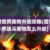 魔兽世界宠物升级攻略(魔兽世界战斗宠物怎么升级)