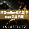 反恐精英online单机版(手机版csgo正版手游)