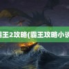 霸王2攻略(霸王攻略小说)