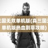 真三国无双单机版(真三国无双单机版热血割草攻略)