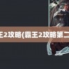 霸王2攻略(霸王2攻略第二章)