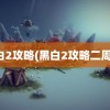 黑白2攻略(黑白2攻略二周目)