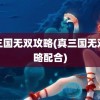 真三国无双攻略(真三国无双攻略配合)