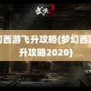 梦幻西游飞升攻略(梦幻西游飞升攻略2020)