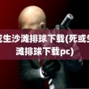 死或生沙滩排球下载(死或生沙滩排球下载pc)