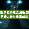 魔兽世界宠物升级攻略(魔兽世界猎人宠物升级攻略)